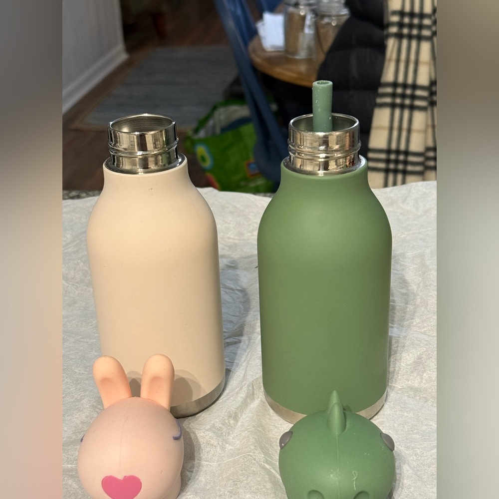 Asobu Bestie insulated stainless steel bottles- TWO. Dinosaur and Bunny - Picture 10 of 11